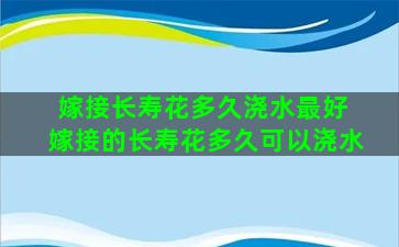 嫁接长寿花多久浇水最好 嫁接的长寿花多久可以浇水